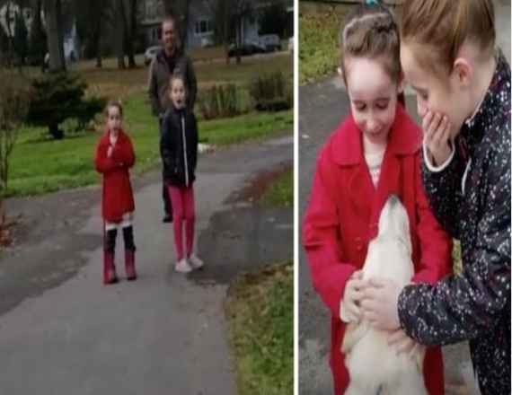 Photo of Mom Surprises Daughters By Secretly Rescuing The Dog They Fell In Love With