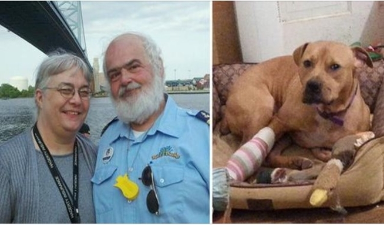 Photo of Elderly Couple Rescues Unwanted Pit Bull & He Ends Up Saving Their Lives, Too.