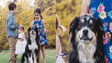 Photo of Dog Is The Only Kid To Pose And Smile For Photo