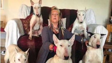 Photo of Man Made His Wife Choose Between Her Rescue Dogs And Him – She Picked The Dogs