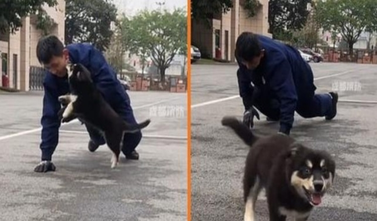 Photo of Adorable Puppy Sneaks Up On Training Firefighter And Surprises Him With A Kiss