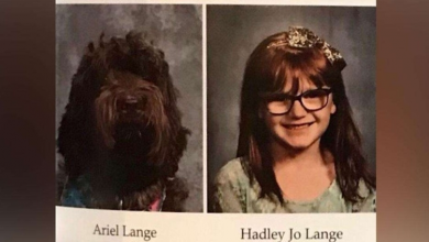 Photo of A Kentucky school surprised a little girl by including a photo of her service dog in the yearbook