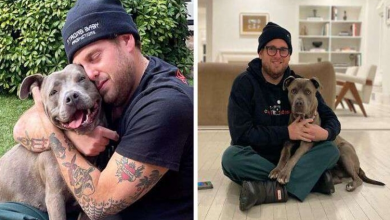 Photo of Actor Jonah Hill Expresses His Joy After Adopting A 3-Year-Old Doggy, Gets Praised by 336K People On Instagram