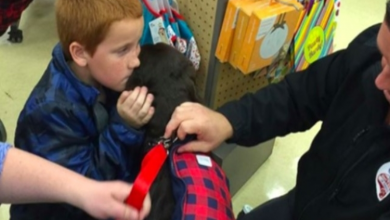 Photo of Boy Saves Pennies For Four Years To Get A Diabetic Service Dog