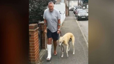 Photo of Dog fakes limp out of sympathy for his owner who hurt his ankle