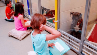 Photo of Lonely Shelter Dogs Are Comforted By Children Who Read Them Bedtime Stories