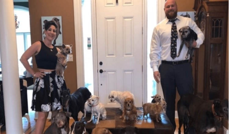 Photo of Kind Couple Spend $55k Turning Their Home Into A Doggy Retirement Haven