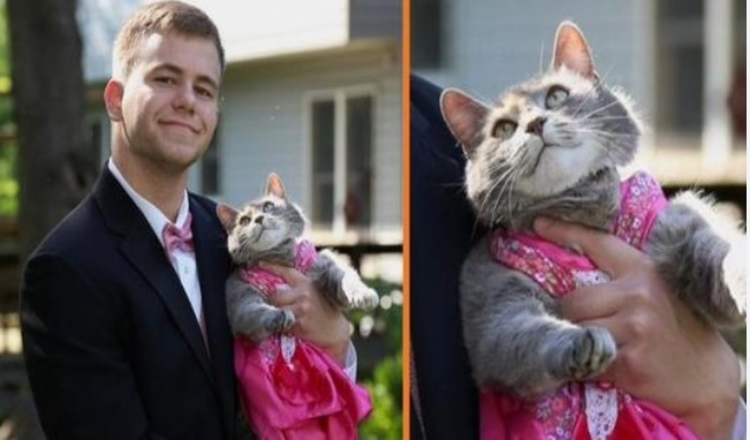 Photo of Teen Couldn’t Get A Date For The Prom, So He Took His Cat Instead