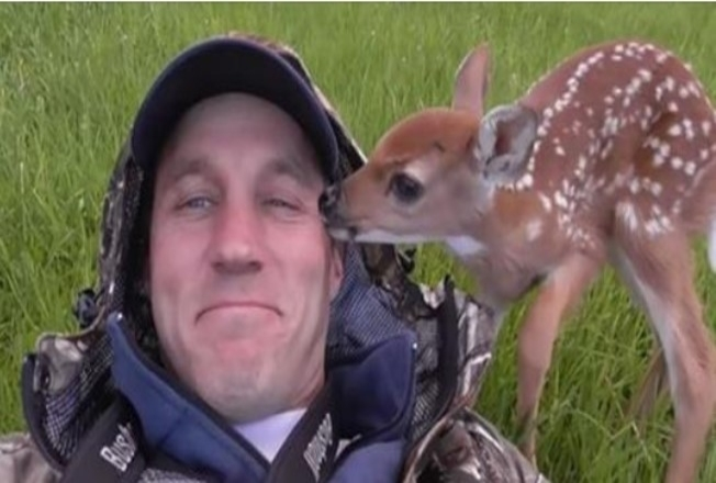 Photo of Fawn doesn’t want to leave the kindhearted man who saved her life