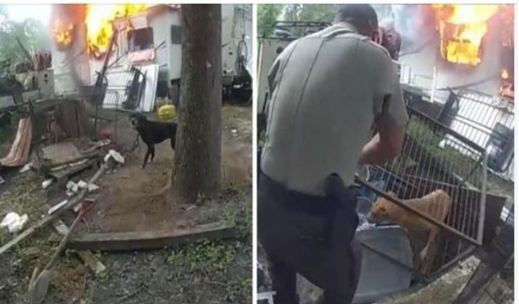 Photo of Deputies Risk Their Lives To Save Chained Dogs From A Burning Fire