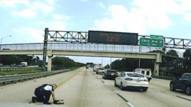 Photo of Police Officer Rescues Pup On Busy Florida Interstate