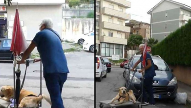 Photo of Man captured on camera taking a sick dog for a walk every day is praised by thousands