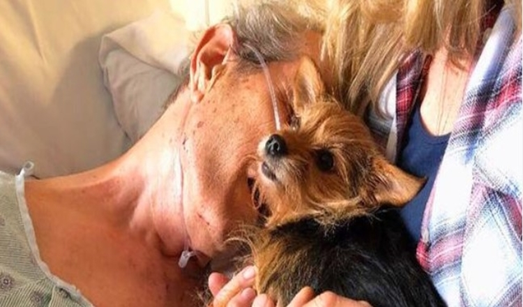 Photo of Nurse brings dog into hospital secretly to fulfill last wish of a dying man