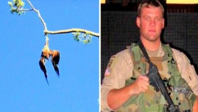 Photo of Town Refuses To Help Poor Eagle Hanging From A Tree, So Army Veteran Steps In