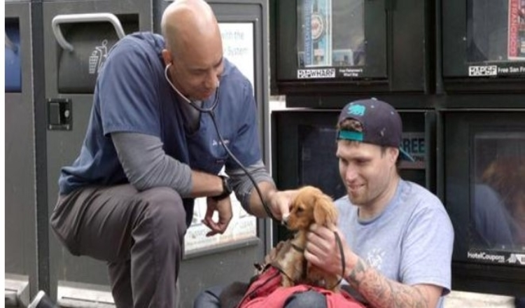 Photo of This vet walks around the streets of California to treat homeless peoples’ animals for free