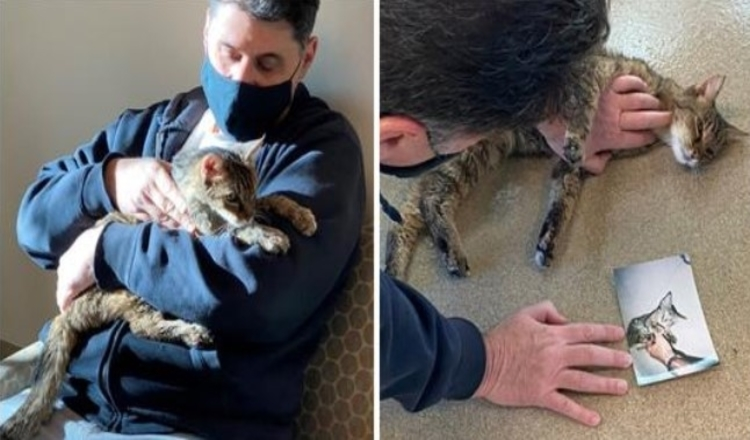 Photo of Owner Miraculously Found His Tabby After 15 Years Of Separation