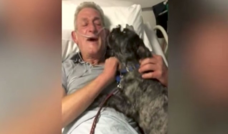 Photo of Rescue dog miraculously brings his owner out of a coma