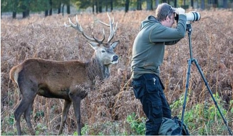 Photo of Incredible Moment A Stag Sneaks Up Behind A Clueless Wildlife Photographer