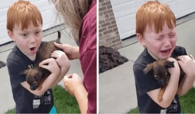 Photo of Young Boy Cries Tears Of Joy When His Family Surprised Him With Puppy