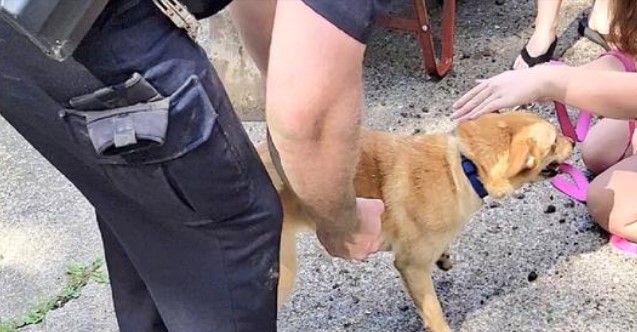 Photo of Follow Along As Police Rescue Buttercup From Under A Foundation