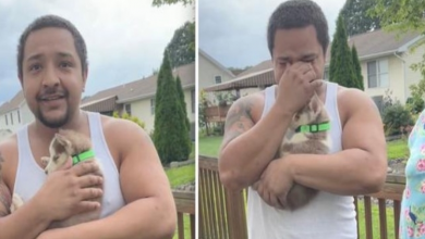 Photo of Man Who Has Wanted Husky For 15 Years Gets Birthday Surprise