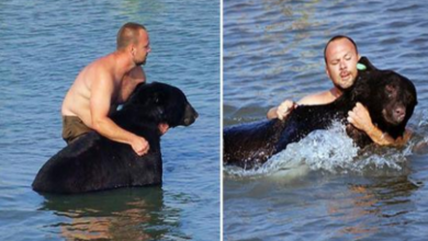 Photo of Brave Man risks his life to save a drowning 400lb black bear