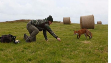 Photo of Two Photographers Reunite With The Orphaned Fox They Raised