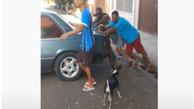 Photo of Friendly Dog Helps Push Neighbor’s Stalled Car