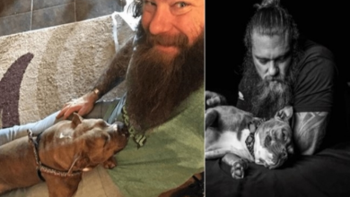 Photo of Jim and Amora: How A Three Legged Shelter Dog Saved A Suicidal Veteran