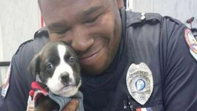 Photo of Police Officer Goes On Routine Call And Ends Up Falling In Love