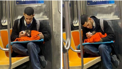 Photo of Man Seen With Kitten On Subway Is Restoring People’s Faith In Humanity