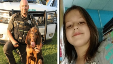 Photo of K9 bloodhound finds abd.ucted 6-year-old girl by tracking scent