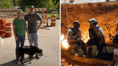 Photo of Rescue Crews Dedicate 12 Hours To Saving Deaf Dog From Storm Drain