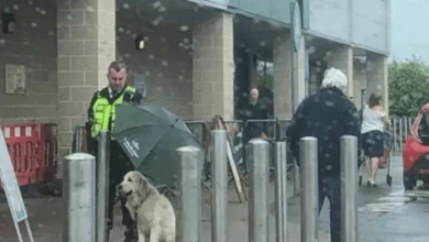 Photo of ‘Hero’ Security Guard Shields Dog From Rain With His Umbrella