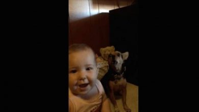Photo of Cute Kid Starts To Sing A Solo When His Musical Pooch Decides To Join