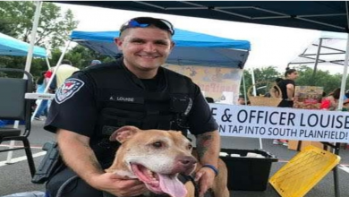 Photo of Officer Finds Dog Eating A Couch To Survive, Then Adopts Him Into His Family