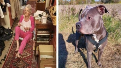 Photo of Woman was scared of pitbulls — until one saved her life
