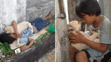 Photo of Lonely Homeless Boy Rescues A Street Pup, Doesn’t Know Pup Will Return The Favor In Touching Way