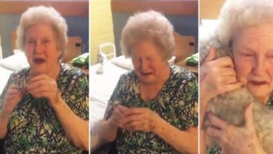 Photo of Grandma’s Dog Died A Month Ago, She’s Moved To Tears When Family Gets Her A New Best Friend