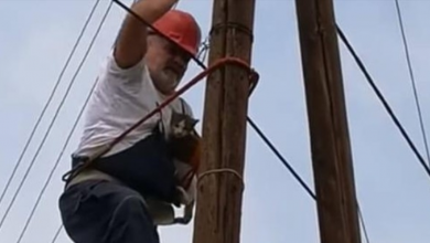 Photo of Poor Kitty Has Been Stranded On A Utility Pole For Days And The Man Did Wonderful Thing