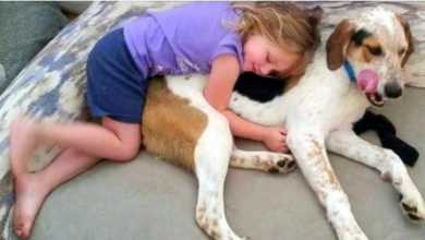 Photo of Deaf Girl Communicates With Her 4-Legged Companion In The Most Unusual Way