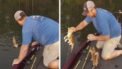 Photo of Two Guys Went Fishing But Ended Up Catching Abandoned Kittens