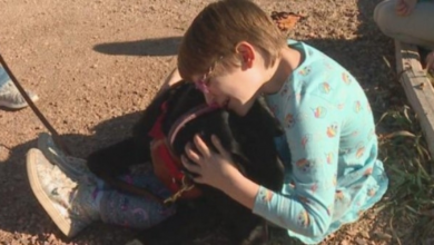 Photo of Service Dog Helps 7-Year-Old Girl With Autism Venture Out In Public Again