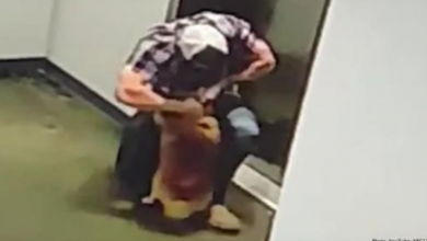 Photo of Man Becomes Viral Hero After Rescuing Neighbor’s Dog From Deadly Elevator Accident