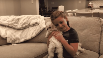 Photo of Young Girl Gets A Surprise Pet For Christmas And Her Heartfelt Reaction And Happy Tears Will Move You