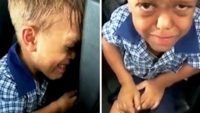 Photo of Boy With Dwarfism Gets Bullied Every Day, But A Dwarf Dog Gives Him Hope Again