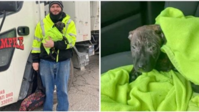 Photo of Garbage Truck Driver On Route Finds “Moving Backpack” Thrown To Side Of Road