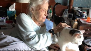Photo of 101-Year-Old Woman Adopts Shelter’s Oldest Cat To Heal Her Broken Heart