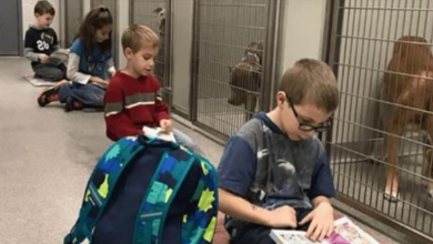 Photo of Shelter Invites Children To Come Read To The Animals, Receives An Overwhelming Response