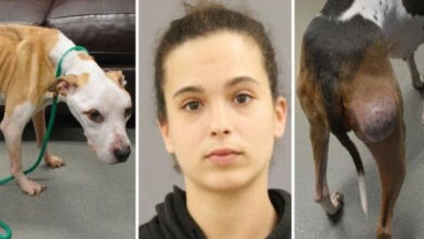 Photo of Woman Ties 2 Dogs Up Outside, Ignores Them As They Wither Away To Skin & Bones